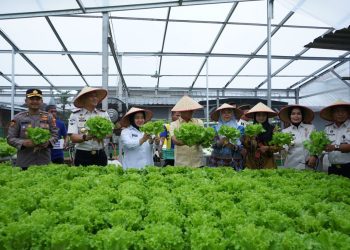 Dari Lapas untuk Ketahanan Pangan, SAE Kalianda Panen Patin dan Sayuran Hijau