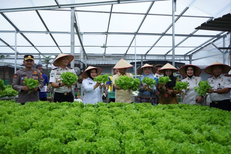 Dari Lapas untuk Ketahanan Pangan, SAE Kalianda Panen Patin dan Sayuran Hijau