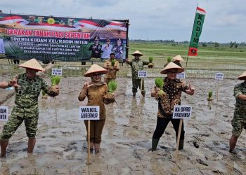 Kodam XXI/Radin Inten Dorong Pertanian Modern di Lampung Timur Lewat Tanam Serentak