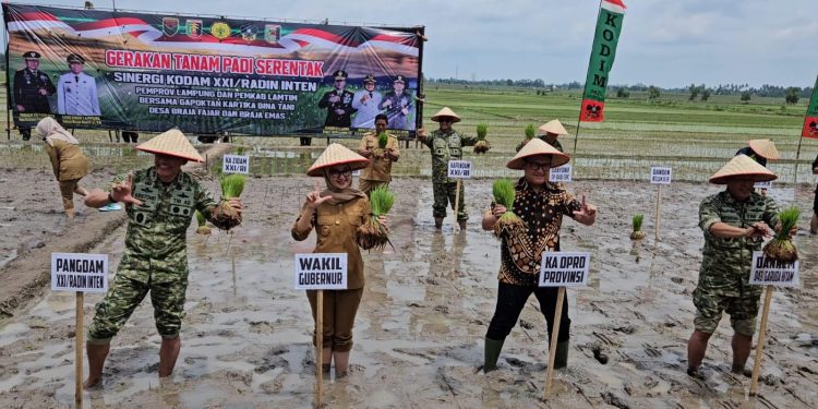 Kodam XXI/Radin Inten Dorong Pertanian Modern di Lampung Timur Lewat Tanam Serentak