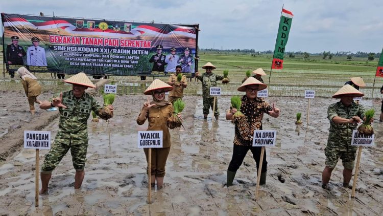 Kodam XXI/Radin Inten Dorong Pertanian Modern di Lampung Timur Lewat Tanam Serentak