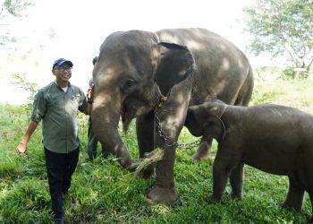 Kebijakan Kontroversial Jadi Perbincangan, DPRD Angkat Suara