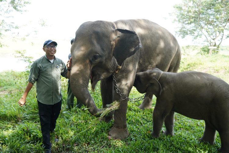 Kebijakan Kontroversial Jadi Perbincangan, DPRD Angkat Suara