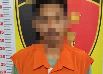 Dibekuk Polisi, Pelaku Pencurian Kantor Desa Bangun Sari Juga Curi Alat Pertanian