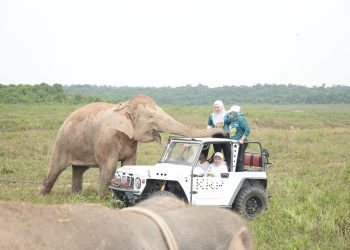 Warisan Hijau untuk Masa Depan: Langkah Ela-Azwar Menata Lampung Timur Berkelanjutan
