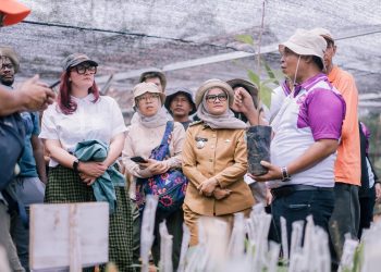 Sistem Tumpang Sari Dongkrak Nilai Kakao Lampung Timur