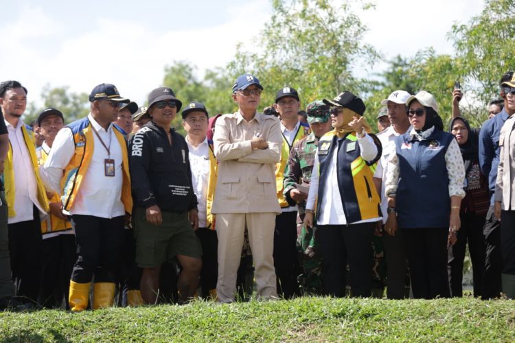 Menteri PU Pantau Langsung Kondisi Jembatan Way Bungur, Optimalkan Mobilitas Warga