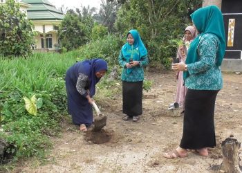 Dari Halaman Rumah ke Pasar, Pepaya Warga Mekar Jaya Siap Diserap SPPG