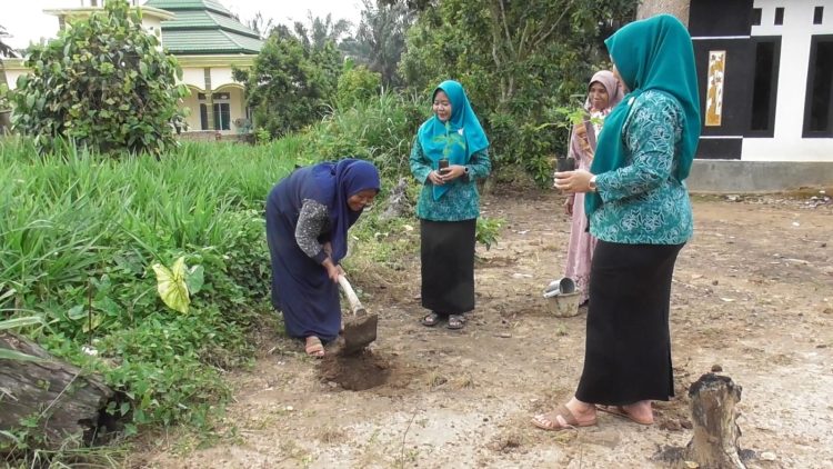Dari Halaman Rumah ke Pasar, Pepaya Warga Mekar Jaya Siap Diserap SPPG