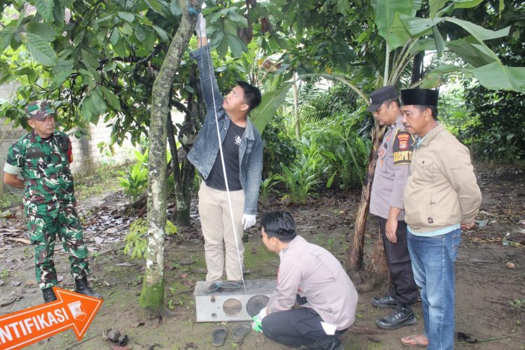 Warga Pekon Sukoharjo 3 Digegerkan Penemuan IRT Meninggal Dunia