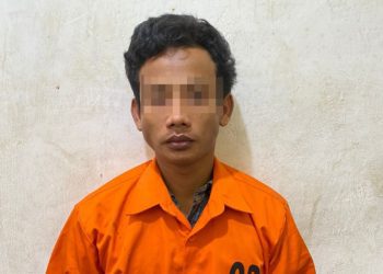DPO Kasus Pencurian Mesin Bajak Diciduk Dini Hari