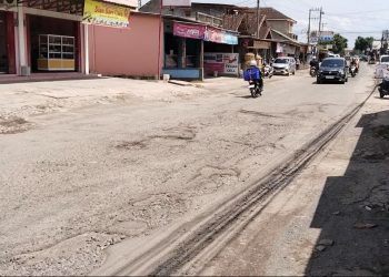 Jalan Berlubang di Bandar Lampung, Misrul Sindir Eva Dwiana soal Prioritas