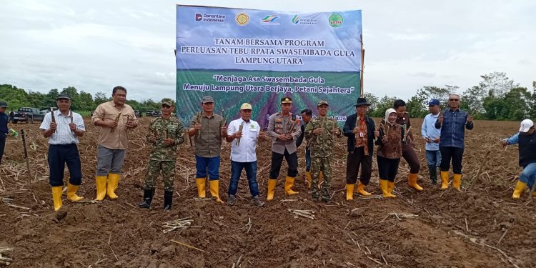 Swasembada Gula Dikejar, Tanam Tebu Serentak Digelar di Dua Kabupaten