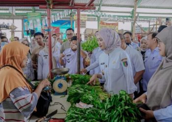 Stok Aman Hingga Idulfitri, Pemprov Lampung Pantau Pasar Tradisional