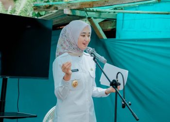 Kolaborasi PLN dan Yayasan Baitul Maal Hadirkan Listrik Gratis di Lampung