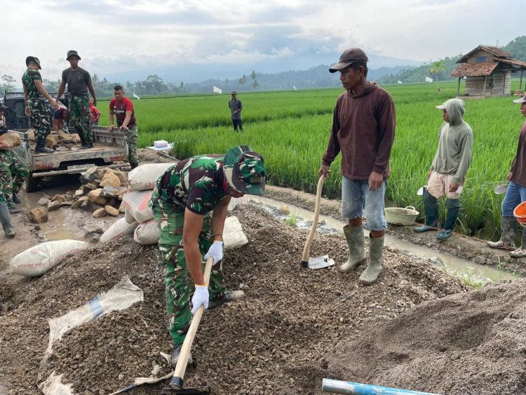 Hari Ketiga TMMD ke-127: TNI dan Masyarakat Gotong Royong Bangun Jalan dan Talud di Tanjung Rejo