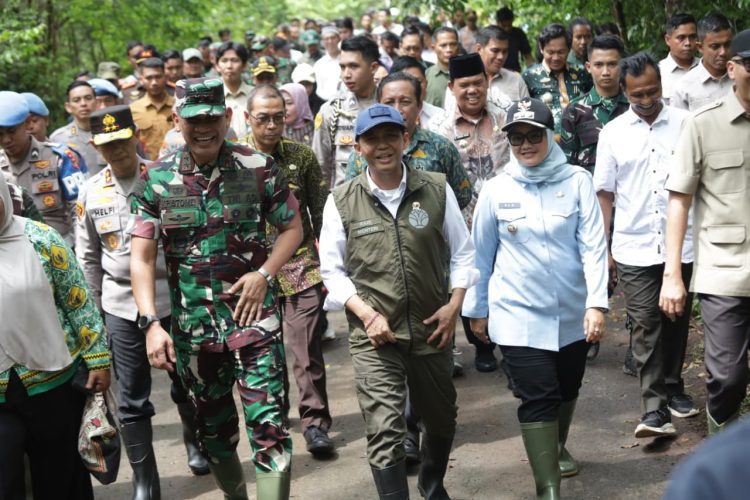 Konflik Manusia dan Gajah, Pemkab Lampung Timur Siapkan Solusi Terpadu