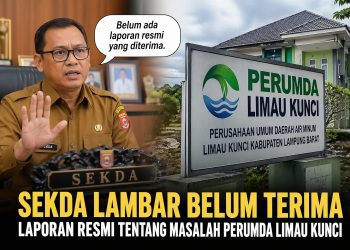 Aset Perumda Masih Dikuasai Eks Dirut, Sekda Lambar Angkat Bicara
