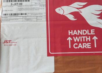 Setelah Diserang DDoS, Grup Perusahaan Pers Lampung Diteror Puluhan Paket Misterius