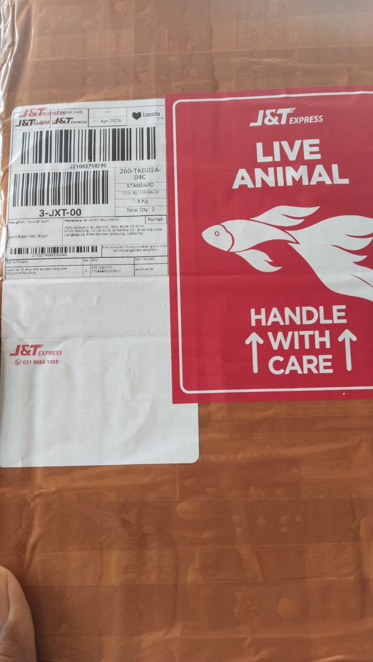 Setelah Diserang DDoS, Grup Perusahaan Pers Lampung Diteror Puluhan Paket Misterius