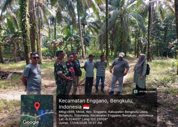 Enggano Bersiap Jadi Sentra Kelapa Dalam Nasional