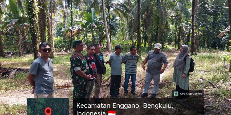 Enggano Bersiap Jadi Sentra Kelapa Dalam Nasional