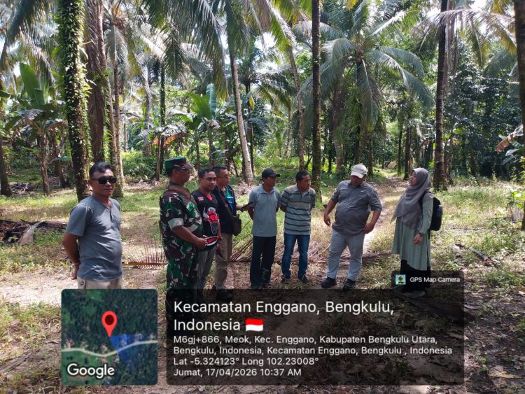 Enggano Bersiap Jadi Sentra Kelapa Dalam Nasional