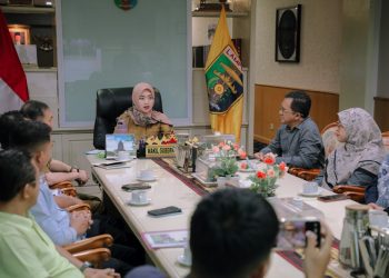 Audiensi dengan ILS, Wagub Jihan Dorong Akses Kesehatan Lebih Merata di Lampung