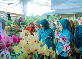 PKK Agro Park Lampung Jadi Sorotan TP PKK Pusat, Dorong Pemberdayaan Keluarga dan UMKM