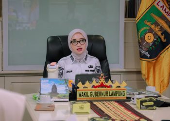 Eliminasi TBC 2030, Wagub Lampung Minta Mesuji Perkuat Deteksi Kasus Aktif