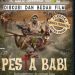 WALHI, AJI dan Akademisi Akan Jadi Pemantik Diskusi Film Pesta Babi di Bandar Lampung