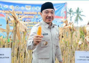 Kapolri Sebut Produksi Jagung Nasional Naik 6,74 Persen Lewat Program Ketahanan Pangan