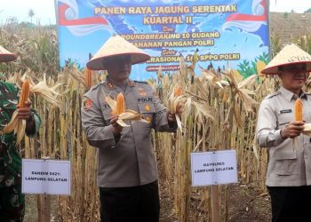 Toni Kasmiri: Potensi Pertanian Lampung Selatan Harus Jadi Kekuatan Pangan Nasional