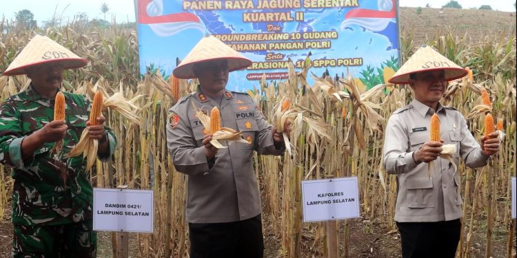 Toni Kasmiri: Potensi Pertanian Lampung Selatan Harus Jadi Kekuatan Pangan Nasional