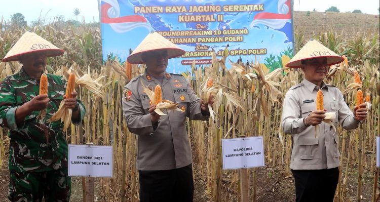 Toni Kasmiri: Potensi Pertanian Lampung Selatan Harus Jadi Kekuatan Pangan Nasional