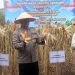 Toni Kasmiri: Potensi Pertanian Lampung Selatan Harus Jadi Kekuatan Pangan Nasional