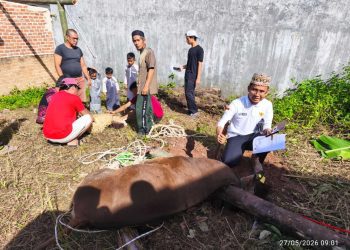 Tradisi Qurban di PPTQ MSI Lampung Jadi Wujud Nyata Nilai Sakai Sambayan