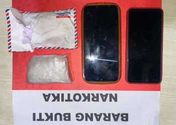 Dua Kurir Sabu Dibekuk di Pringsewu, Polisi Sita Barang Bukti Puluhan Gram Narkotika