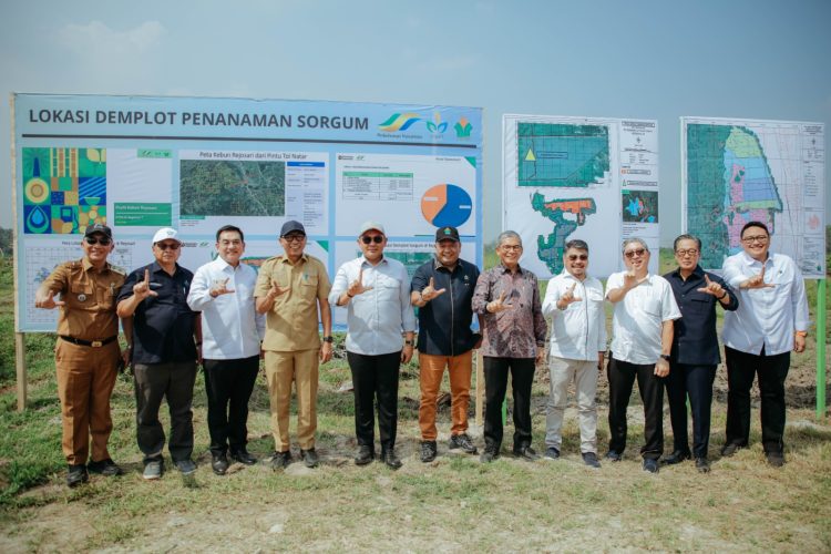 Wamen Investasi Sebut Lampung Lokasi Ideal Pengembangan Industri Bioetanol untuk Jawa dan Sumatera