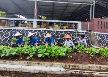 Dari Dibina Menjadi Berguna, WBP Lapas Kalianda Panen Hasil Pertanian Sendiri