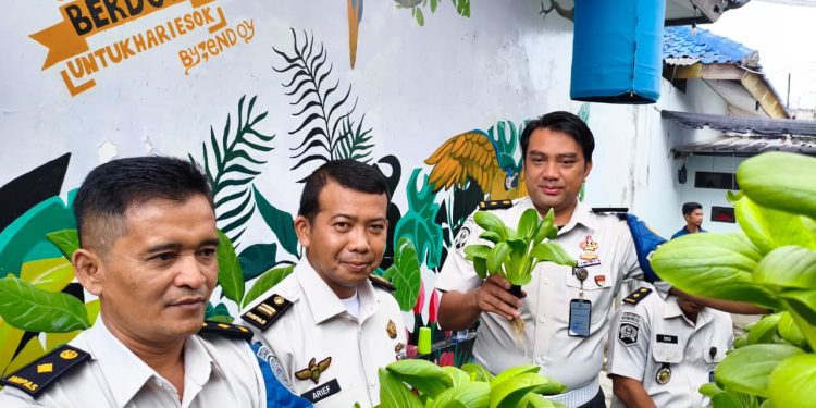 Panen Pakcoy di Lapas Kalianda Jadi Bukti Keberhasilan Program Pembinaan Kemandirian
