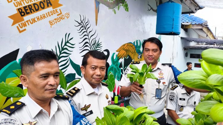 Panen Pakcoy di Lapas Kalianda Jadi Bukti Keberhasilan Program Pembinaan Kemandirian