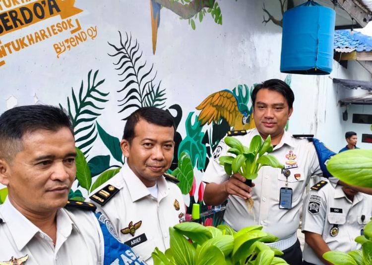 Panen Pakcoy di Lapas Kalianda Jadi Bukti Keberhasilan Program Pembinaan Kemandirian
